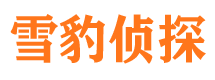 凤泉市婚姻出轨调查